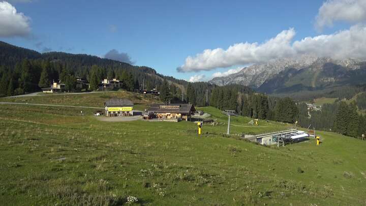 Webcam live 