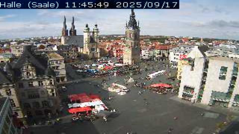 Webcam live 