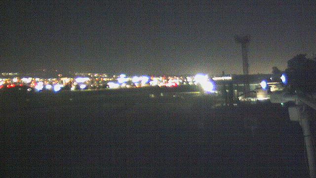 Webcam live 