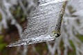 Eisbruch in den Mittelgebirgen