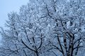 Schneechaos im Westen