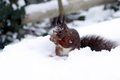 Glätte durch Märzschnee
