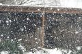 Schneeschauer und Sonne