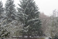Frühling nur nach Kalender