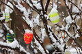 Schon wieder Neuschnee