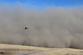 Sandsturm in Norddeutschland