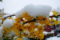 Schneefälle in der Schweiz