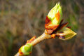 Der April in Bildern