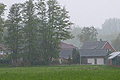 Saftiges Grün nach Mairegen
