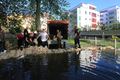 Elbhochwasser im Norden