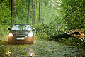 Schwere Schäden durch Unwetter