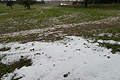 Wieder schwere Hagelunwetter