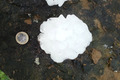 Wieder schwere Hagelunwetter