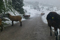 Winterintermezzo in den Bergen