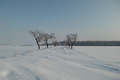 Ihre schönsten Winterbilder