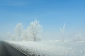 Ihre schönsten Winterbilder