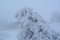 Eiszeit auf der Wasserkuppe