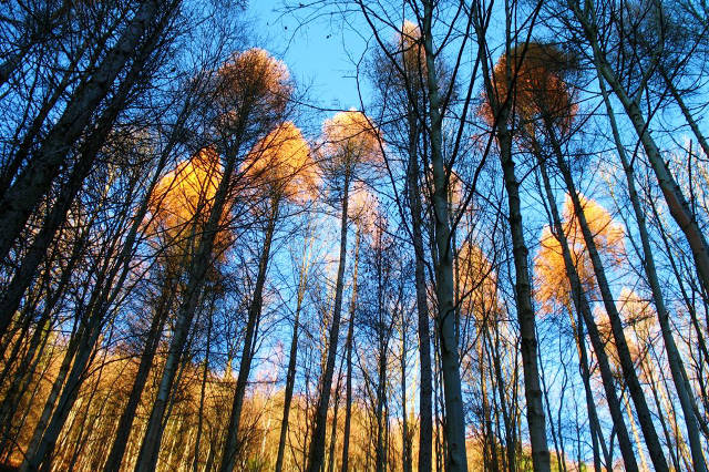 Zwischen Herbst und Winter
