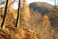 Zwischen Herbst und Winter