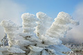 Zwischen Herbst und Winter