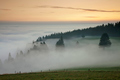 Der Herbst 2013 in Bildern