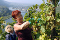Der Herbst 2013 in Bildern