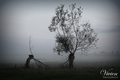 Der November in Bildern
