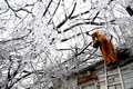 Schnee und Eisregen in den USA