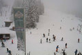Neuschnee im Südwesten