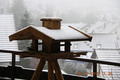Neuschnee im Südwesten