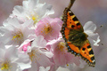 Traumhafter Frühlingsstart